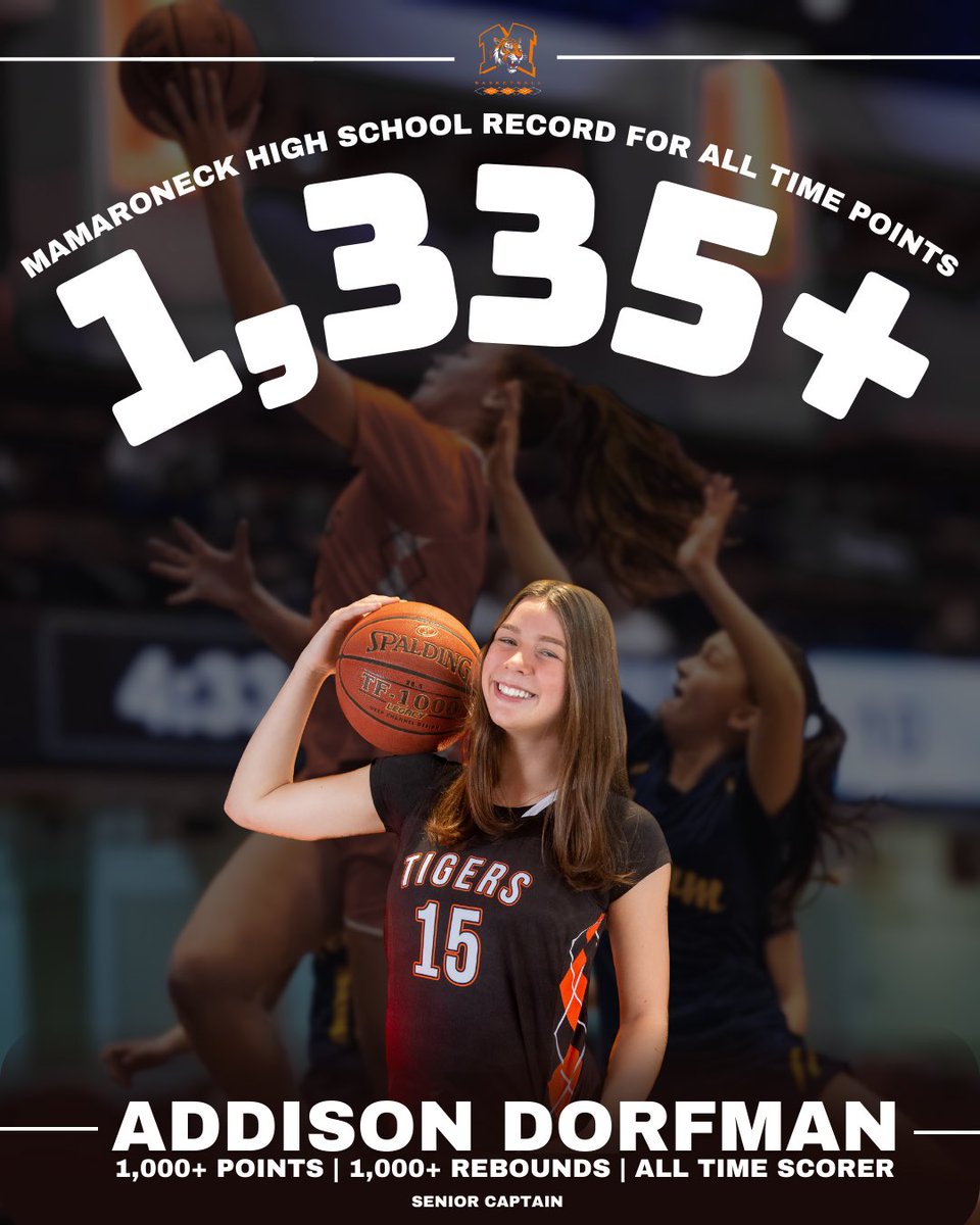 The Jungle tweet media