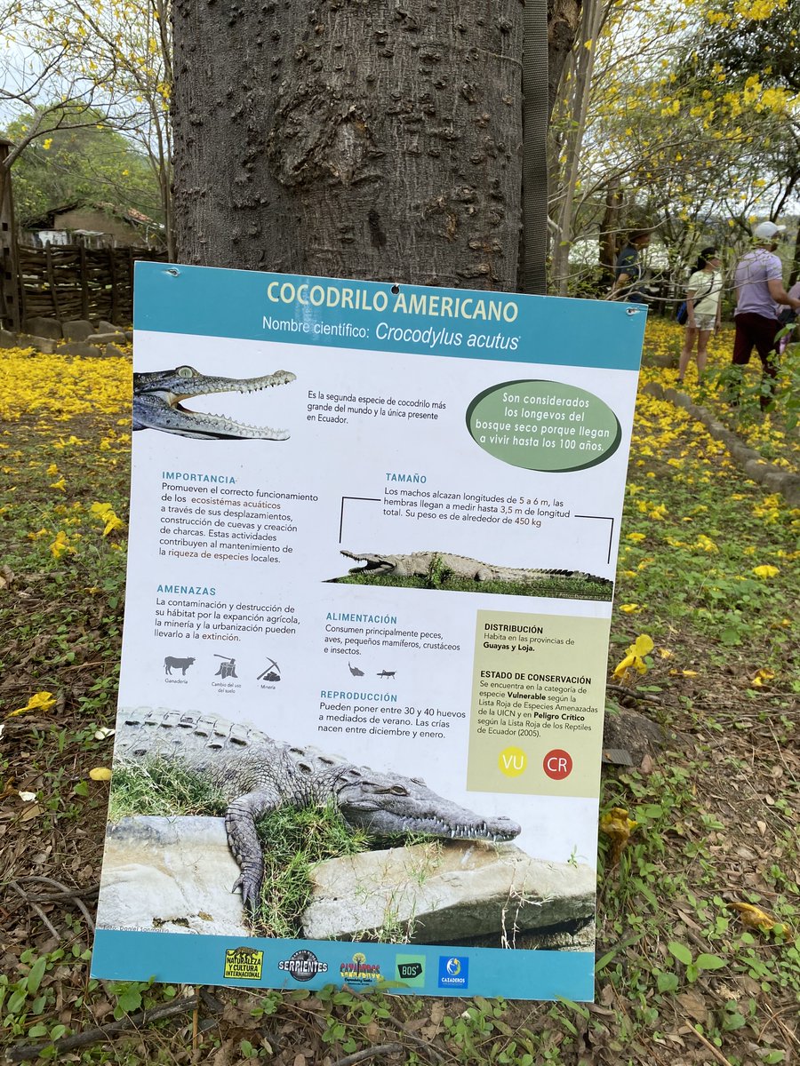 Pabloarturo81's tweet photo. Este año acampé en el refugio de Naturaleza y Cultura en Cazaderos. Es genial lo que ellos hacen por esa parroquia. Llevan adelante un proyecto de conservación con una visión que busca mejorar la economía del lugar de manera diferente, respetando su entorno e historia https://t.co/4pXd5uMwC0