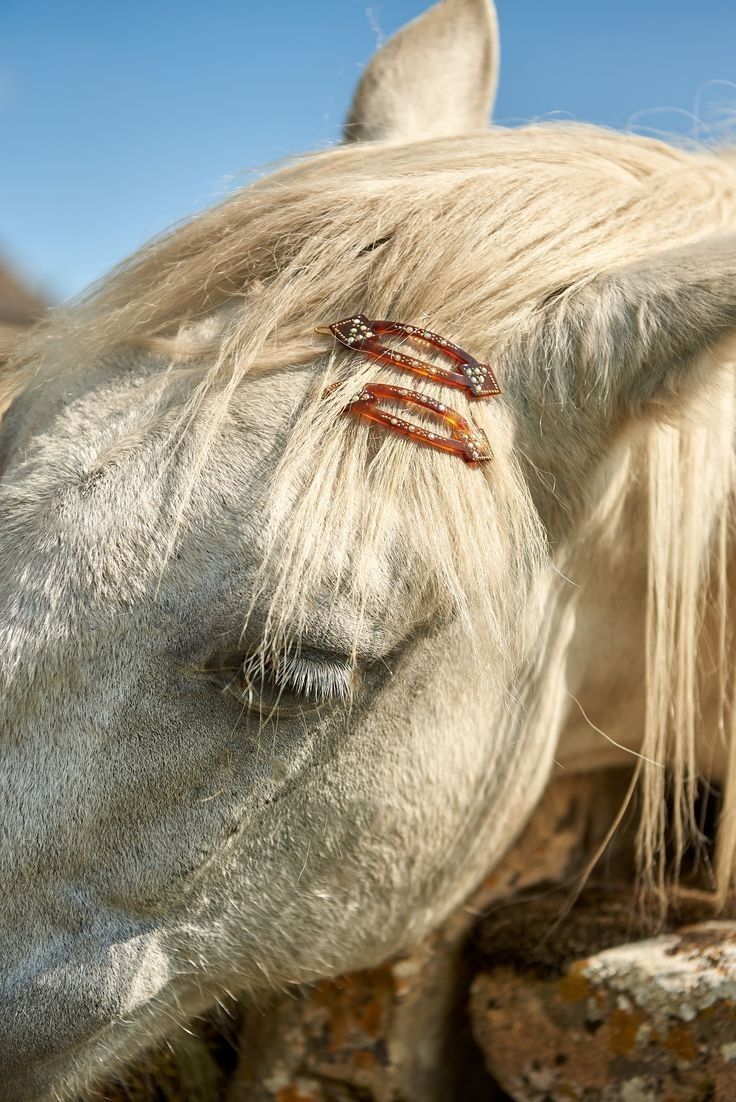 Gbaccii's tweet image. first 2026 pinterest check 🥇🍯❤️‍🔥🏃‍♀️