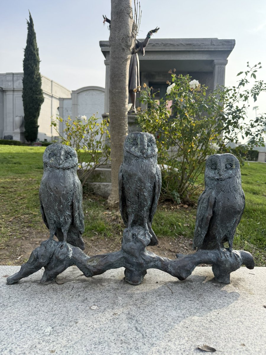 Jeff Leavell tweet media