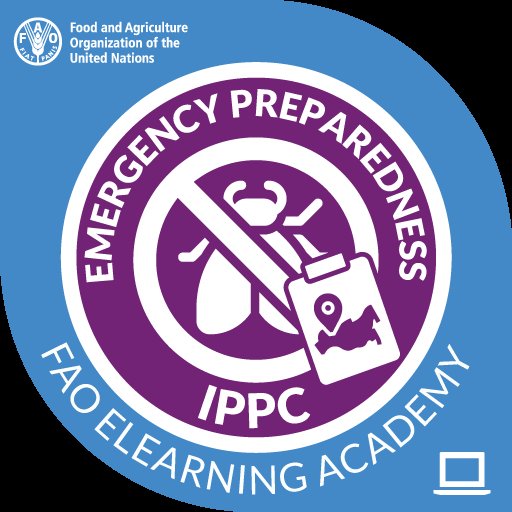 Bornagues🇨🇩Kubakidi tweet media