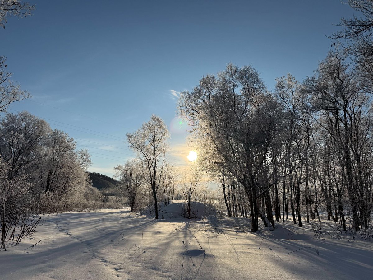 moritakouken's tweet photo. おはようございます！
本日の富良野も現在-15℃と冷え込んでおります🥶

富良野大橋の現場付近での写真が届きました〜！📸
朝日と冬の白い景色が綺麗な1枚です❄️
寒い朝はツライですが、景色はとても綺麗です👀✨

本日も頑張りましょう〜！💪🏻
#企業公式が朝の挨拶を言い合う 
#企業公式つぶやき部 https://t.co/iPPVrapZmy