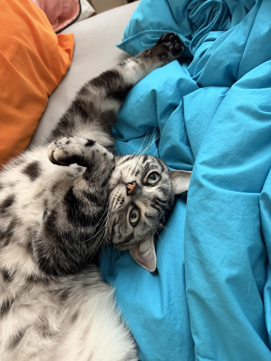 GoodTimesWithScar tweet media