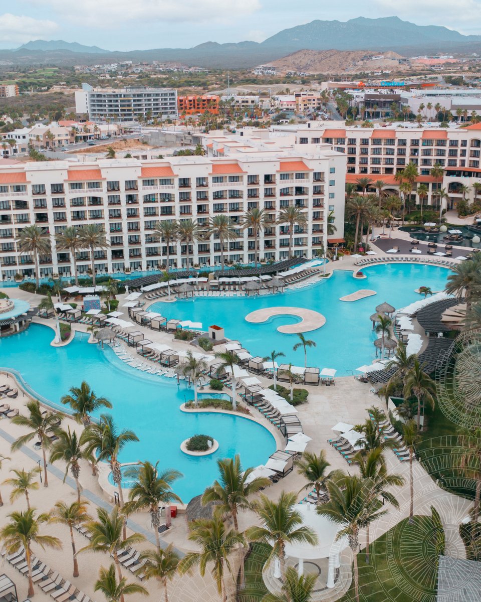 vsanderson34's tweet photo. Blue skies, palm-lined views, and the kind of pool day you never want to end. 🌴💦
#HyattZivaLosCabos #TravelTuesday https://t.co/5U7DWSPVpz