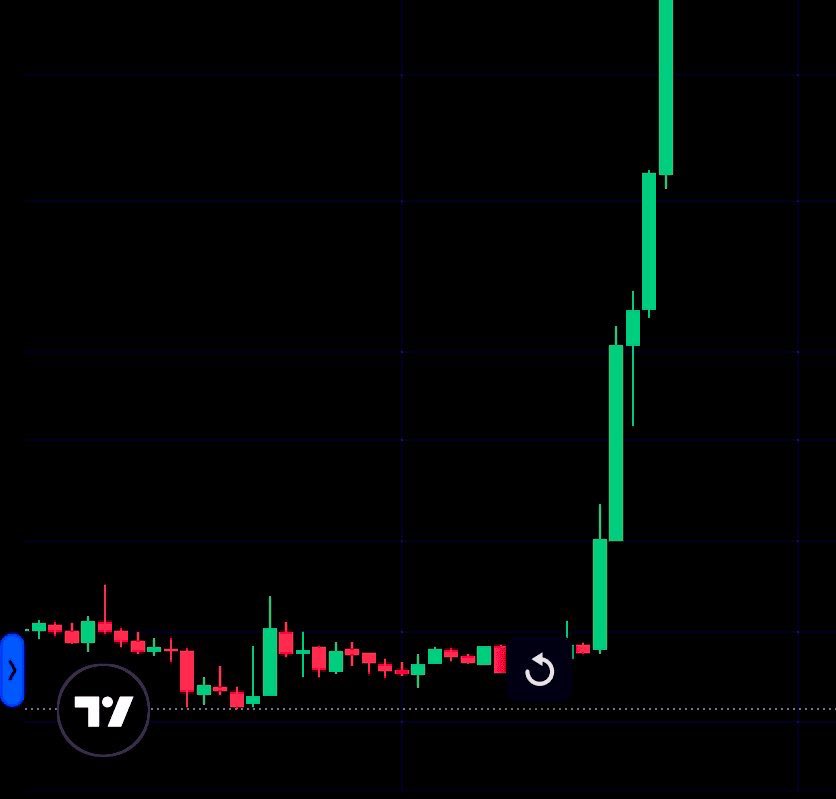 Michael Saylor⚡️Parody tweet media