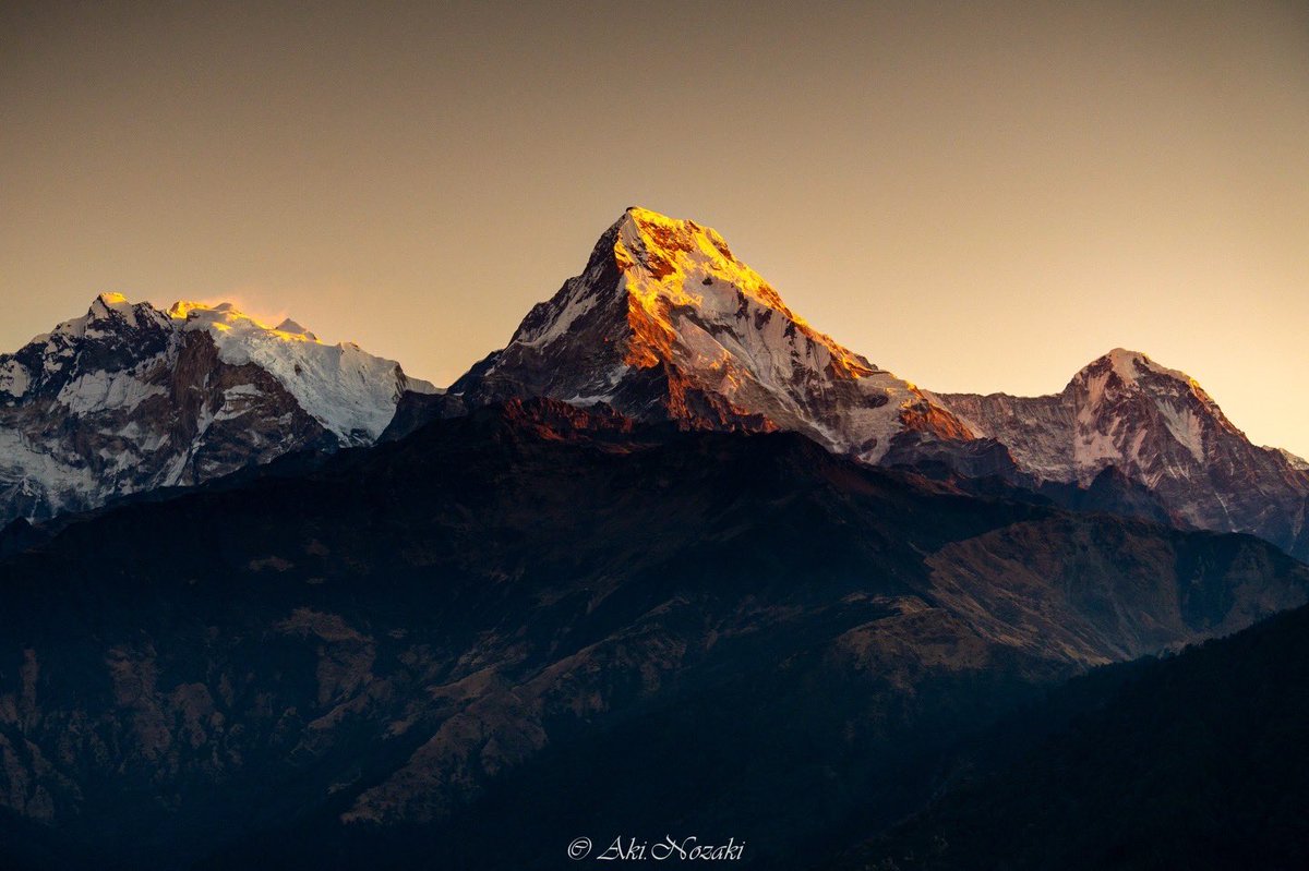 Eking65's tweet image. サンスクリット語で白い山を意味するダウラギリ（8167m）のモルゲンロート。二枚目は豊穣の女神を意味するアンナプルナサウス（7219m）の朝焼け。何とも神々しい。
#morgenrot #nepal #himalaya #dhaulagiri #annapurna