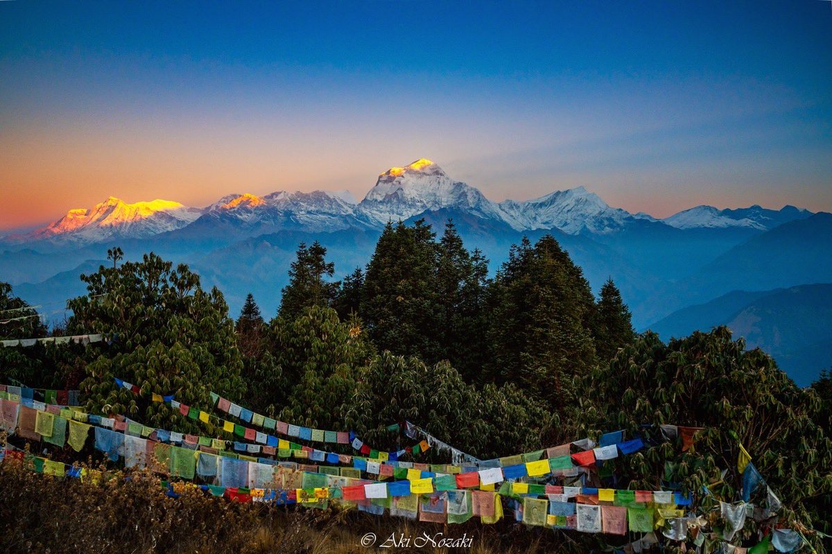 Eking65's tweet image. サンスクリット語で白い山を意味するダウラギリ（8167m）のモルゲンロート。二枚目は豊穣の女神を意味するアンナプルナサウス（7219m）の朝焼け。何とも神々しい。
#morgenrot #nepal #himalaya #dhaulagiri #annapurna