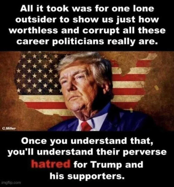 iso.roam tweet media