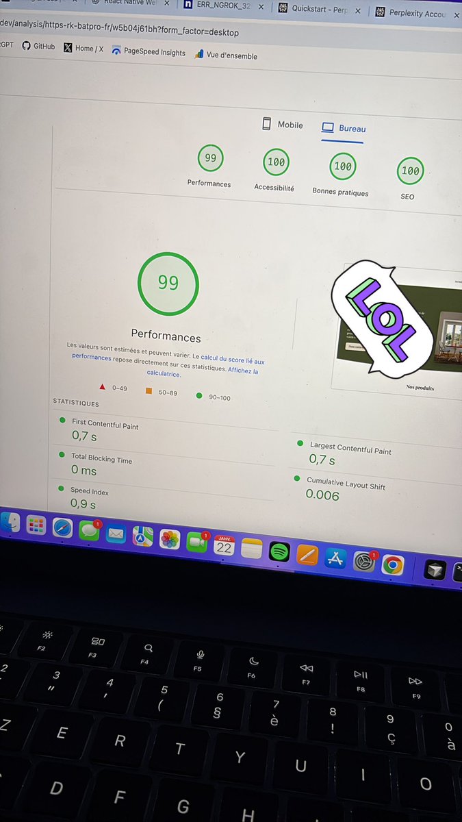 Pour avoir 100 partout faut vendre un rein ? (Mobile je suis à 93 en perf pour les curieux)  
Partager vos résultats PageSpeed Insight je suis curieux