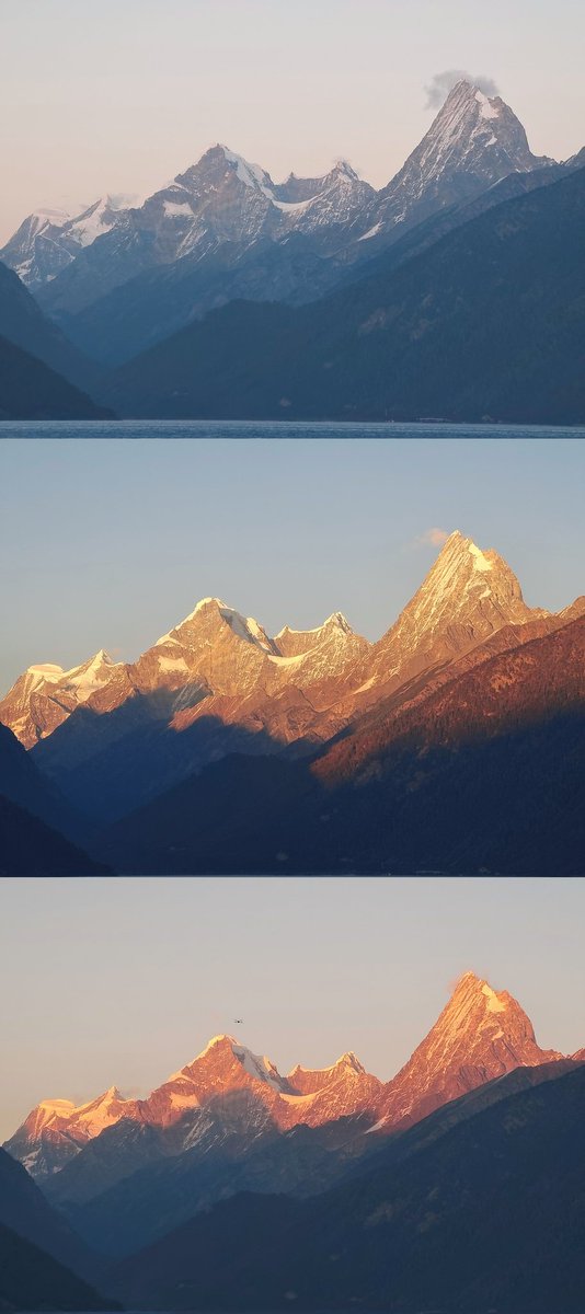 55open55 tweet media