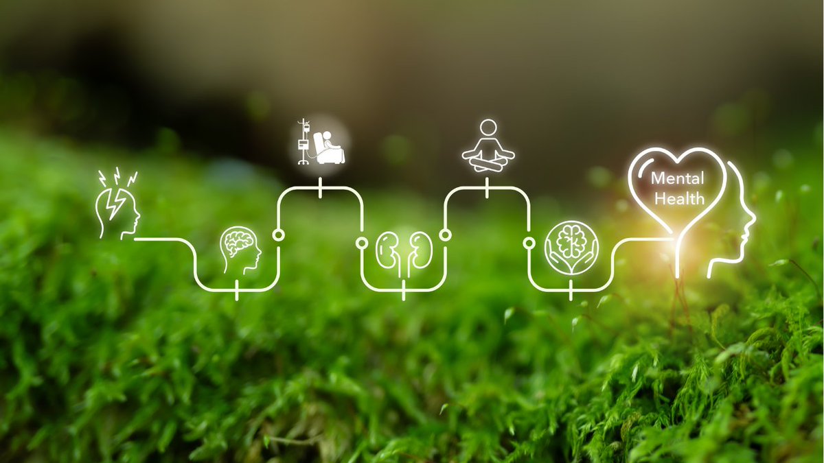 Can-SOLVE CKD Network - Le réseau Can-SOLVE CKD tweet media