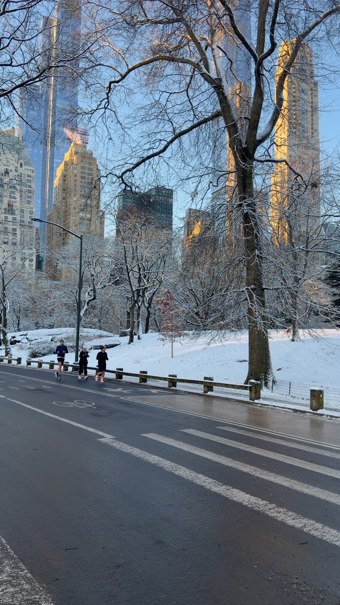 mateodr_'s tweet image. -10°C, 7h du matin et ça court en short dans Central Park.

Cette ville c'est incroyable l'énergie qu'elle dégage.

Tu te lèves le matin, les cafés sont déjà blindés. 

Tu sais que les mecs ils sont là pour gagner et pour tout arracher.

Quel environnement.