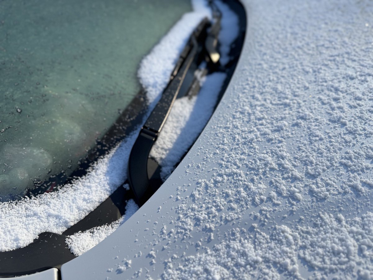 ミスバニー (@D_miss_bunny_) / Posts / X