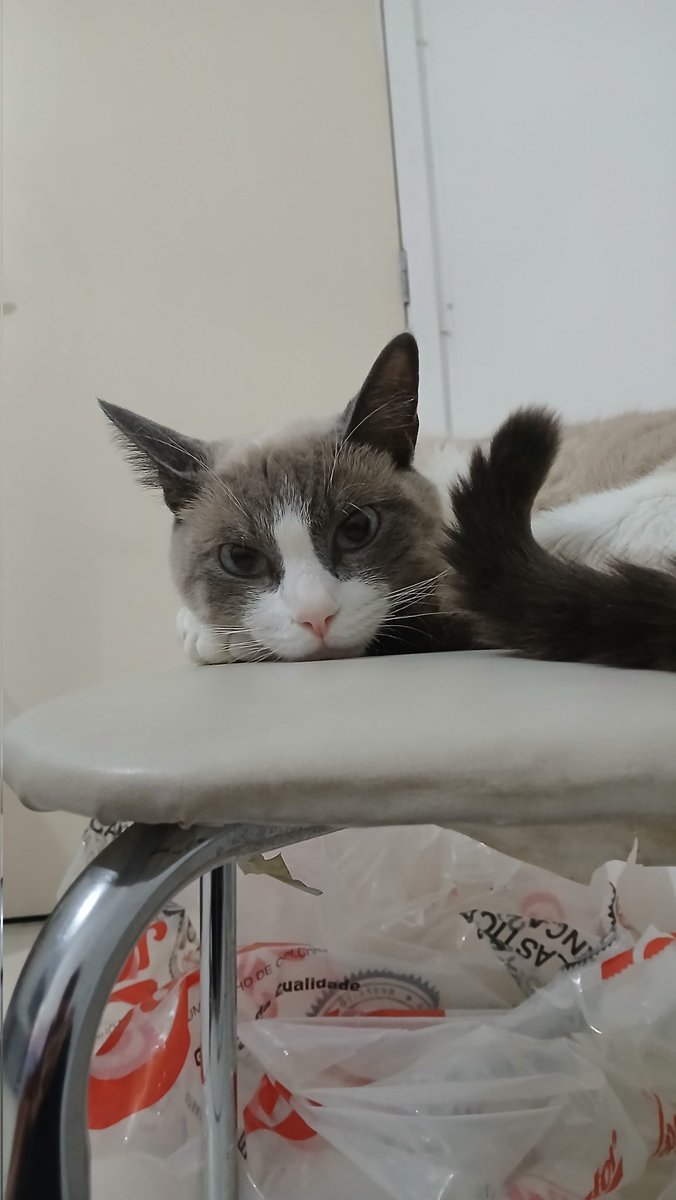 mars 🍉 VAKINHA NO FIX tweet media