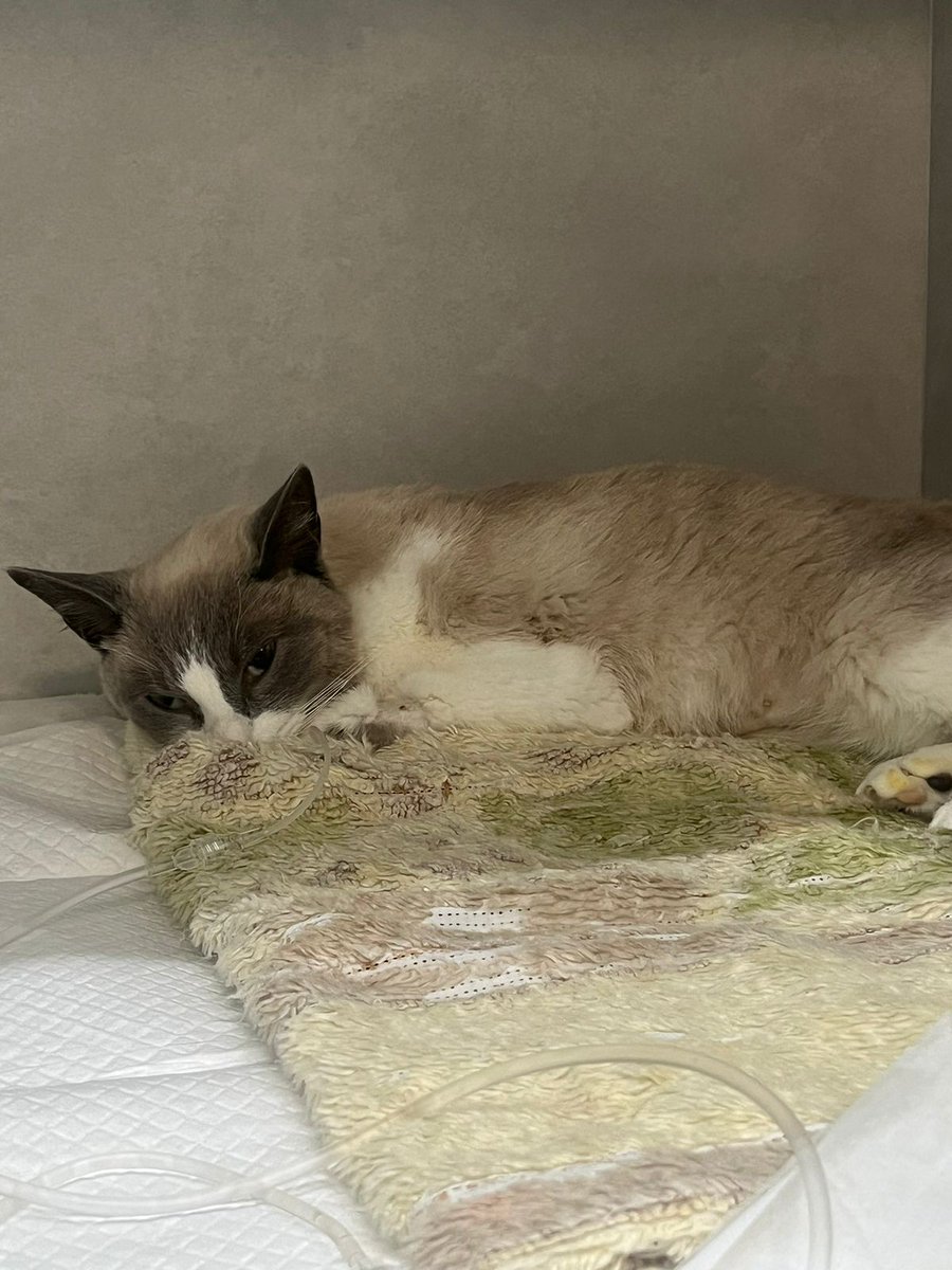 mars 🍉 VAKINHA NO FIX tweet media