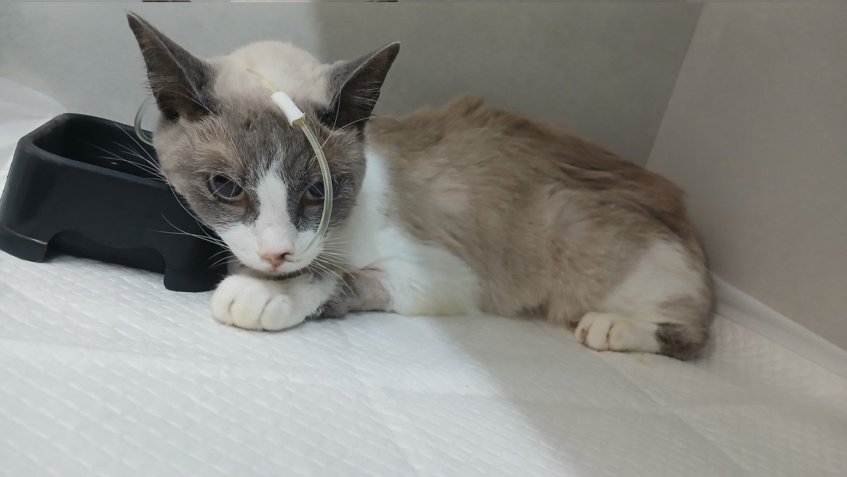 mars 🍉 VAKINHA NO FIX tweet media