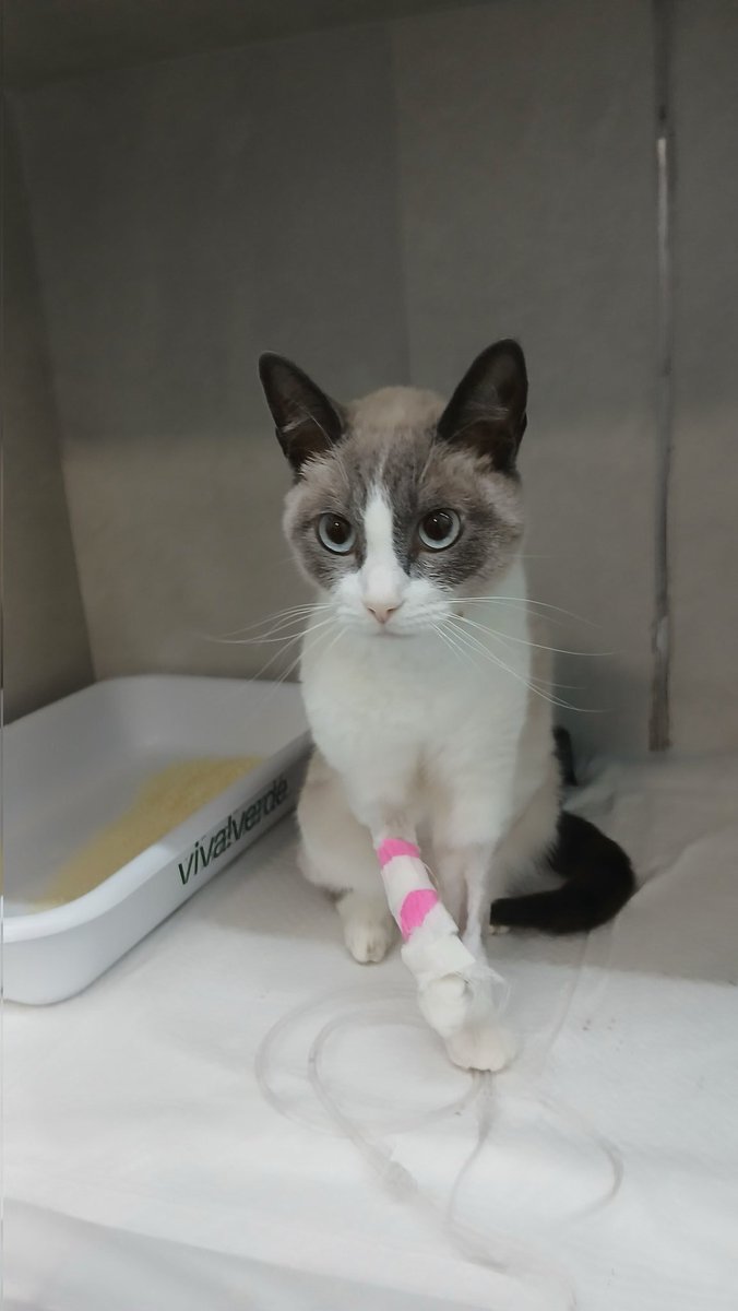 mars 🍉 VAKINHA NO FIX tweet media