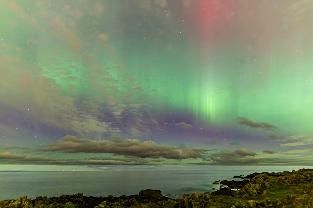 Duncan McDonald tweet media