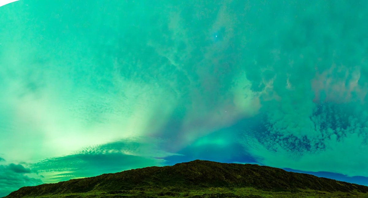 Duncan McDonald tweet media