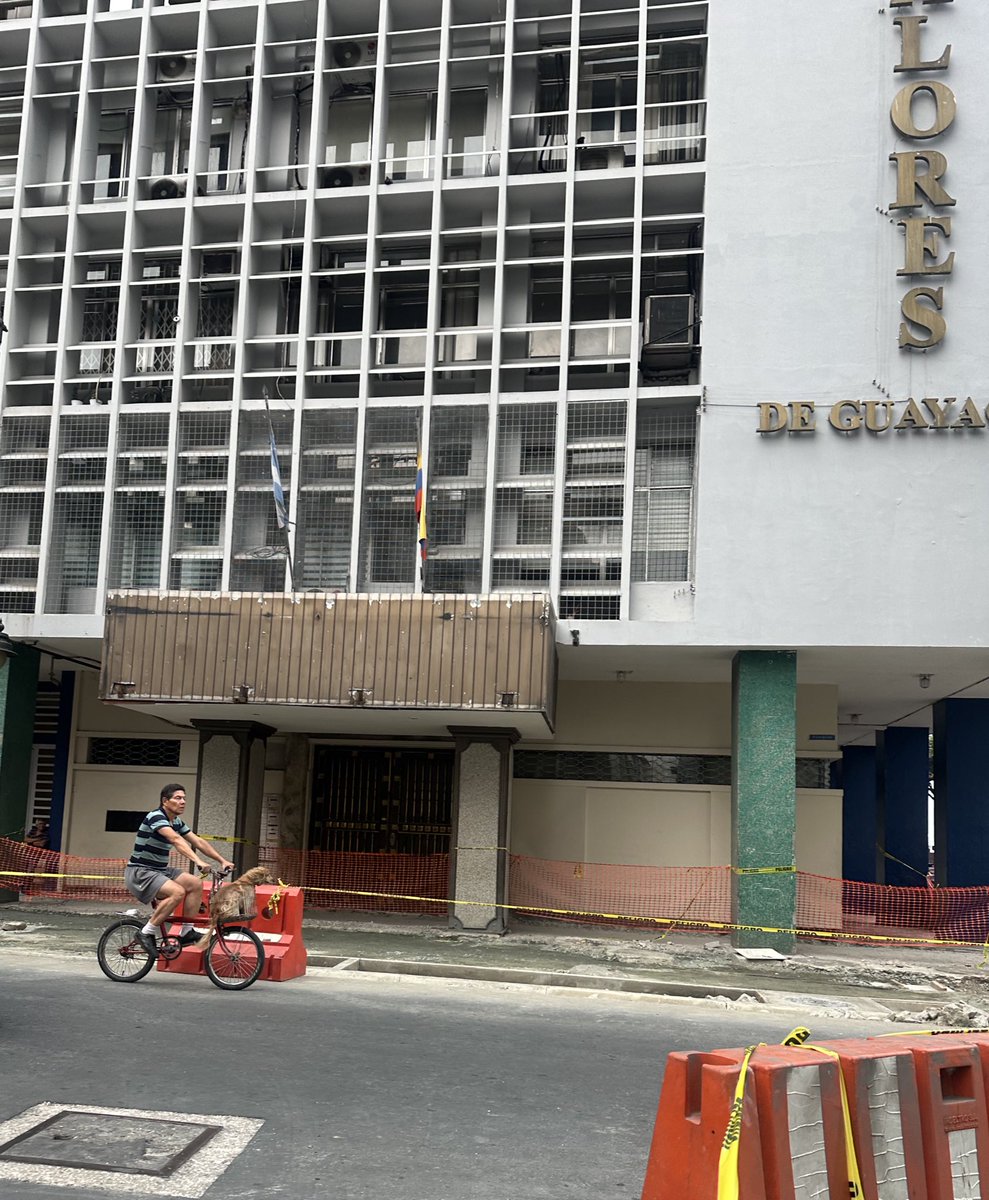 HypherAlice's tweet photo. Quiero que así como rompen veredas para hacerlas un poco más grandes y cambiar las baldosas, con la idea de que así se reactiva el centro, regulen el monopolio de alquileres y sus precios, que hagan un plan de recolección y división de desechos y que sí, que hagan ciclovías. https://t.co/8Qwms8ybj9