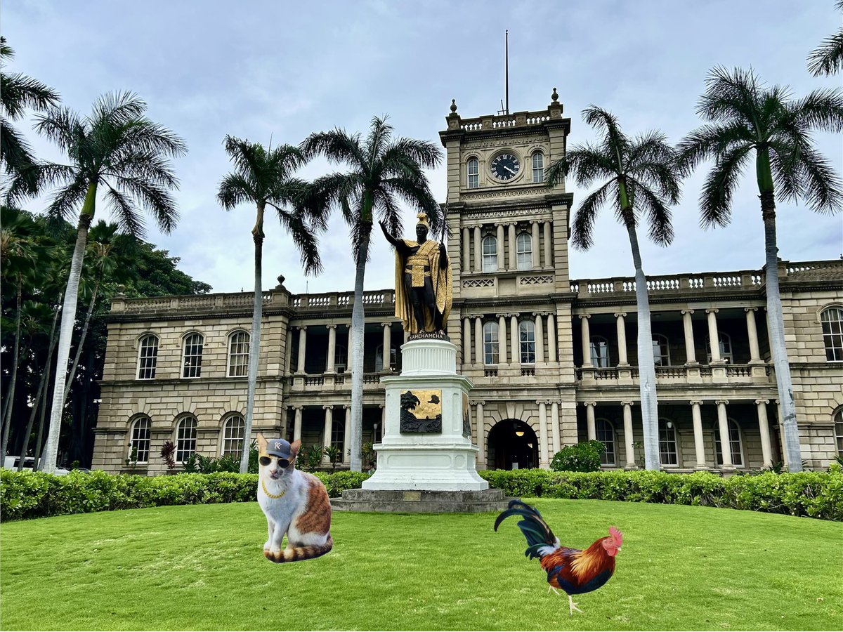 It’s a cloudy day here in Hawai'i, and I’m out on #Hedgewatch with <a href="/buck_bacaw/">Buck BaCaw</a> .

#FIVCatsClub #rescuecat #CatsOfHawaii