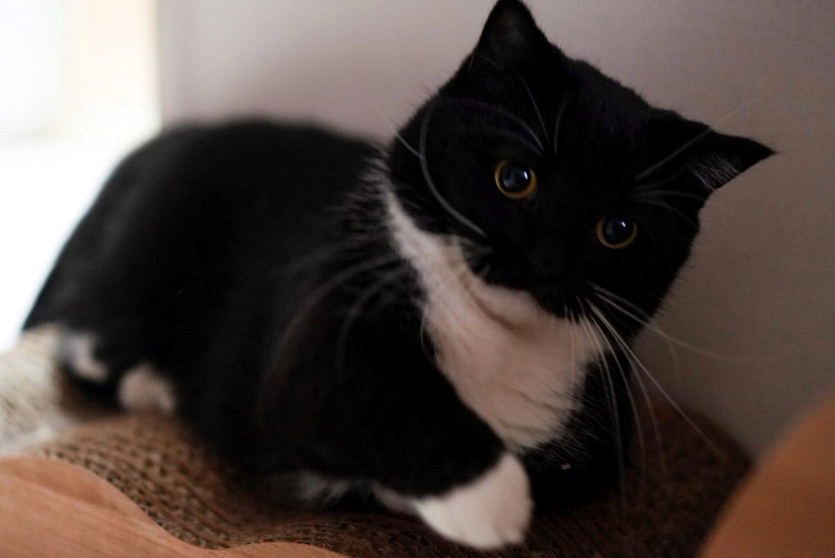 unicouniuni3's tweet image. I'm the coolest…