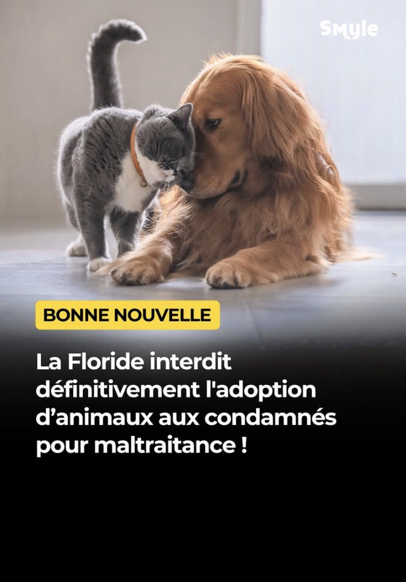 Bravo… à quand en France ????