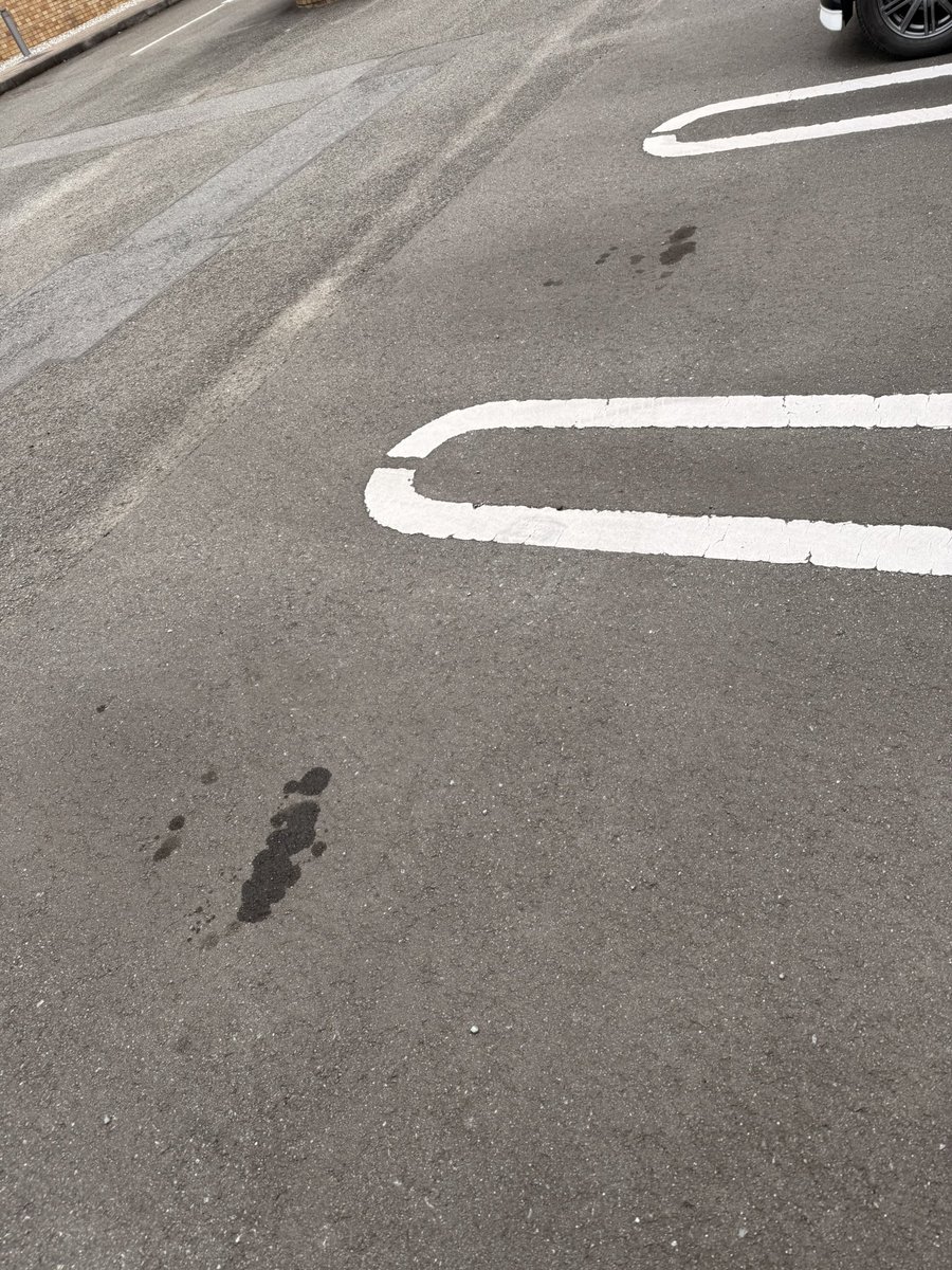 Mippyfun's tweet image. 会社の駐車場
オイル漏れてるなw