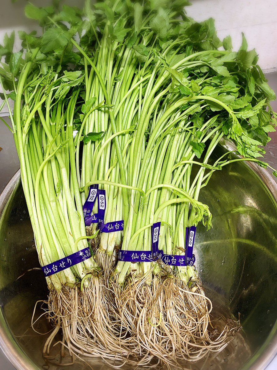 おはようございます。 『セリと生姜醤油』 今日から再開します。 宜しくお願いします🙇