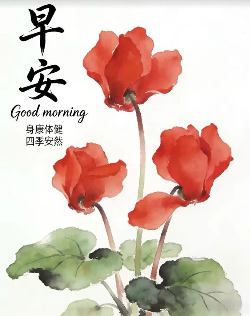 jms66（互关fo互赞）🇨🇳 tweet media