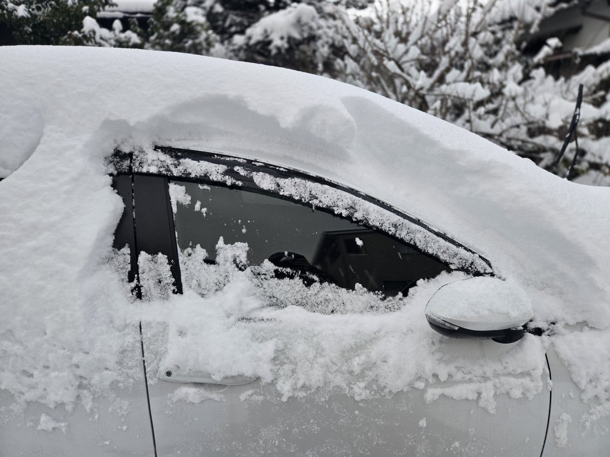 mao-camp tweet media