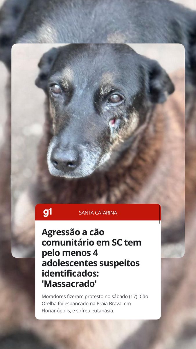 Abrigo Meimei tweet media