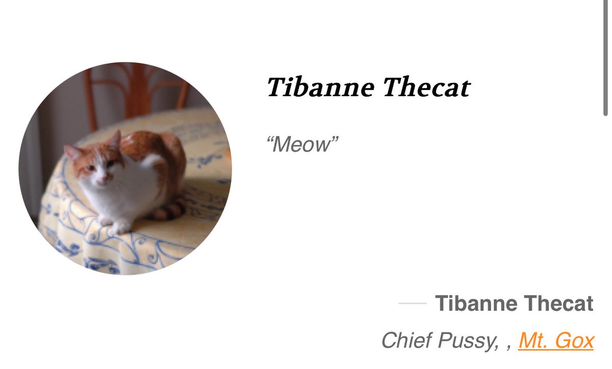degentintin's tweet photo. DRtvTCzfiKGhCVREmBbZdN9sB8PHeq9KdRZ3VmFhpump

Most people think Buttcoin lore is just satire.

But some of it is very real.

This is Tibanne Thecat.

Also known as $chiefpussy.

11 years ago, a photo surfaced of a cat sitting on a keyboard.

That cat belonged to @MagicalTux of Mt. Gox.

The joke?

Maybe the biggest disaster in Bitcoin history started with a cat pressing the wrong keys.

The meme stuck.

So much that Tibanne became an official board member of the Buttcoin Foundation.

Name, photo, quote.

“Meow.���

Now every Buttcoin post has its favorite board member watching from the sidelines.

A reminder that early crypto was fragile, absurd, and very human.

A cat.

A keyboard.

Unstoppable lore.

$chiefpussy

https://t.co/t3MzDfW1mx

https://t.co/Rt9xeNEm3x