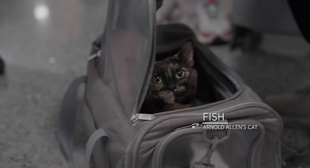 TheArtOfWar6's tweet image. The highlight of fight week so far

This will not be topped