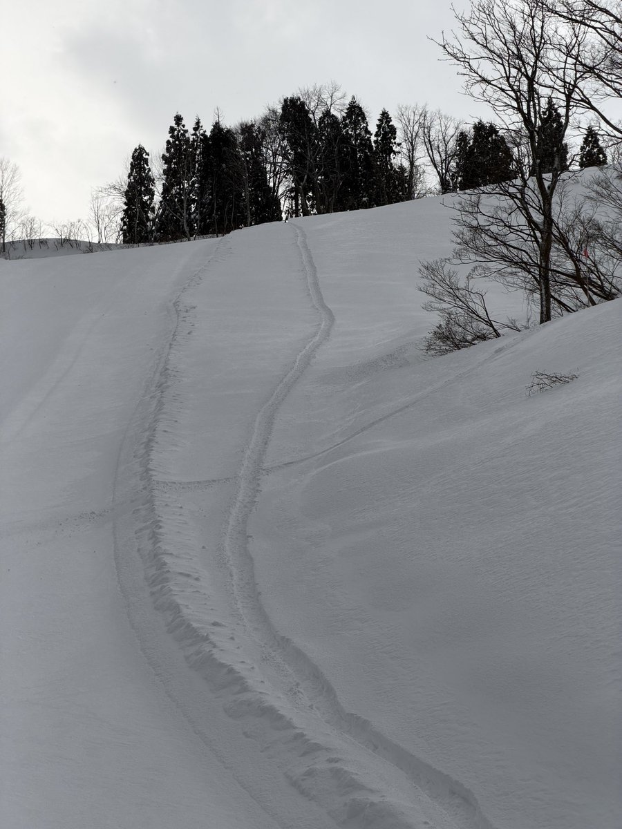 yamajyouhou's tweet image. シャルマン火打スキー場

致死量の粉雪です
深すぎてウルトラファットスキーもお手上げ

転倒しないように気をつけて楽しんでください