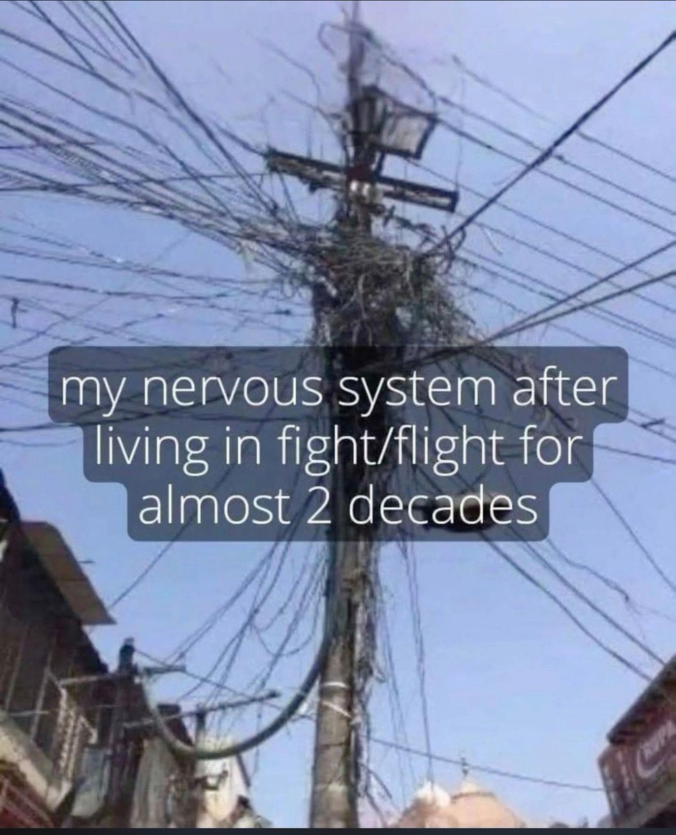 ADHDForReal's tweet image. 