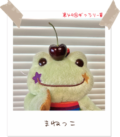 かえるのピクルス/pickles the frog (@picklesthefrog6) / Posts / X