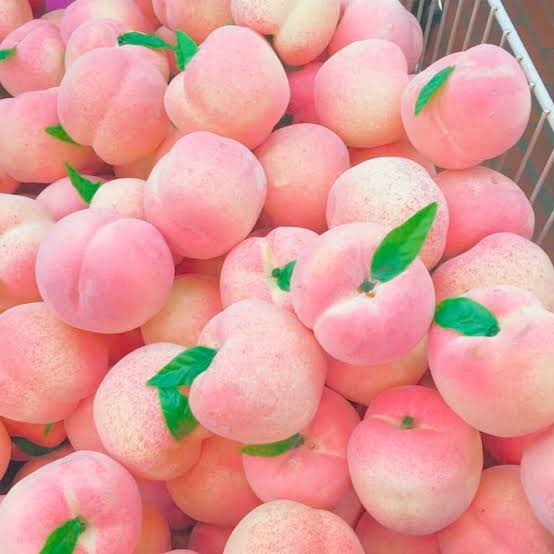 I saw people arguing what hair color Ume has. His hair is based on unripe Ume (plum) so it’s green and hence why he is named Ume

Meanwhile Momo is named after peaches that’s why he has peach/pink gradient hair