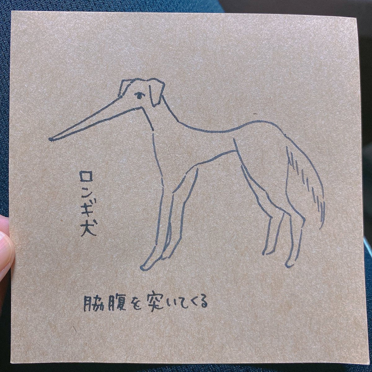 echo_s's tweet image. 