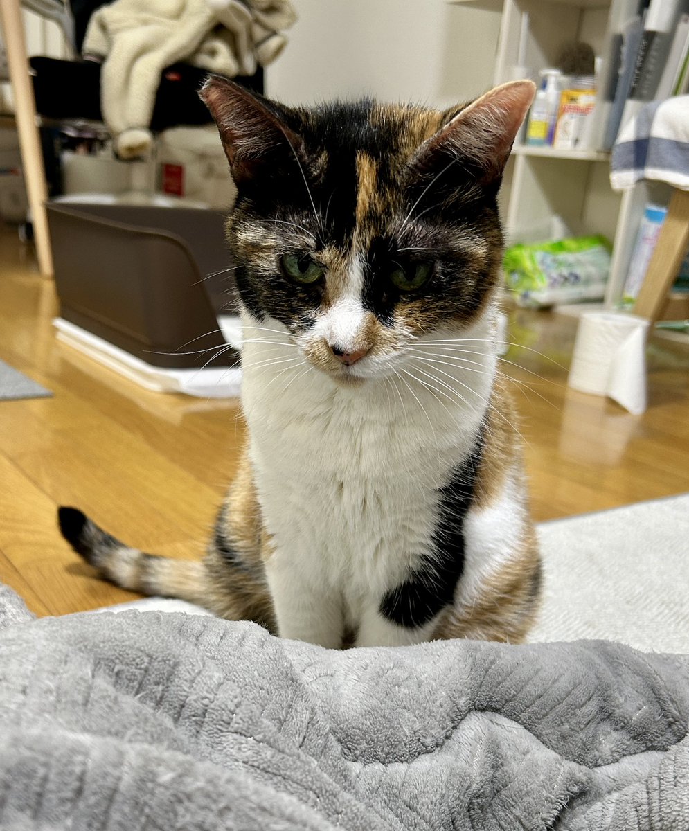 nevayama's tweet photo. おはようございます https://t.co/0ik1eFHUll