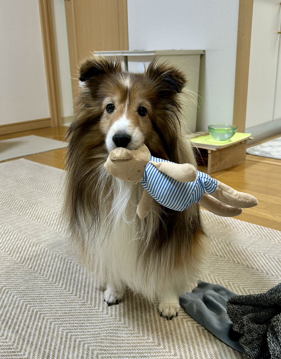 nevayama's tweet photo. おはようございます https://t.co/0ik1eFHUll