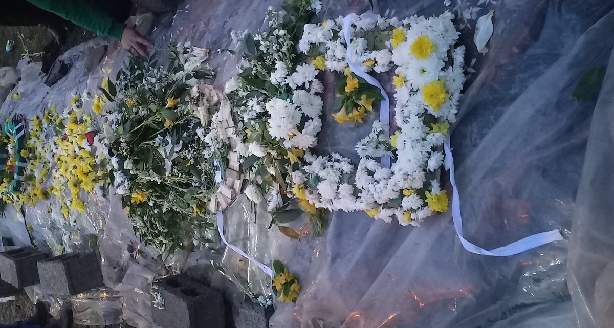 تفنگت را زمین نگذار tweet media