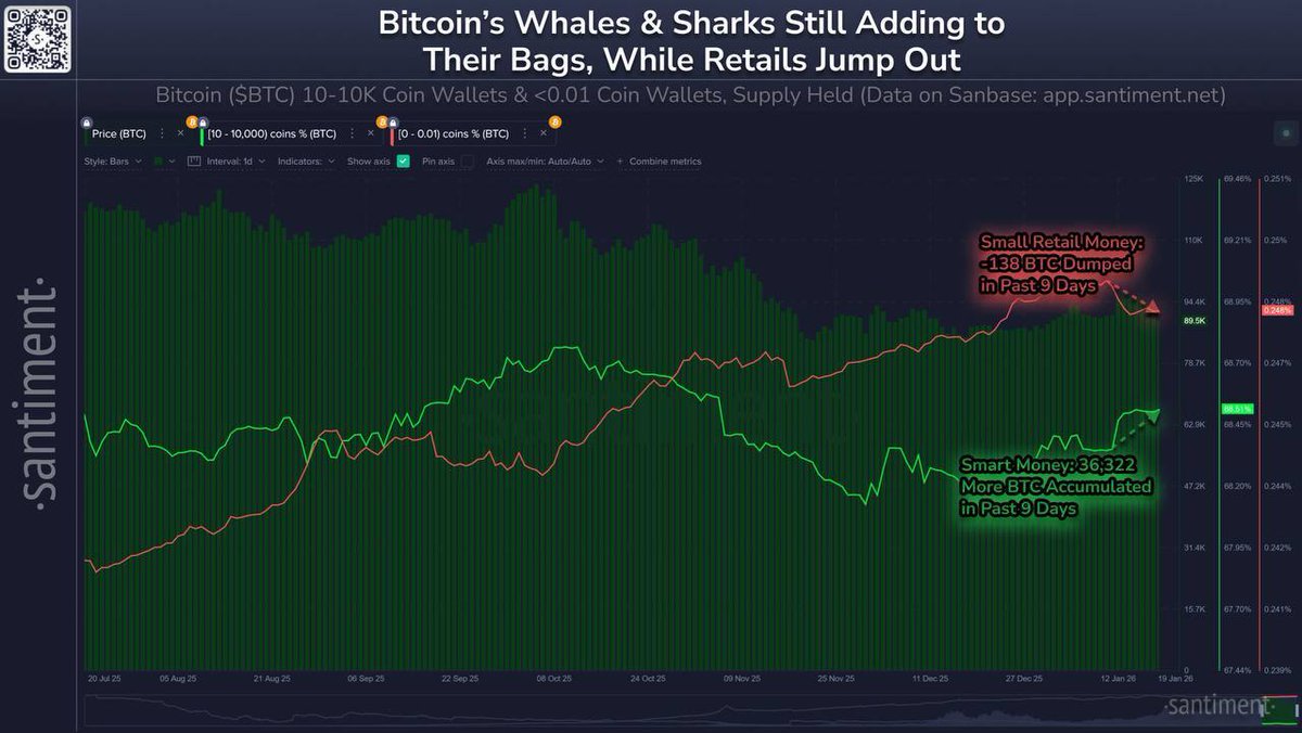 巨鲸操作（Whale Movements Alert） 比特币回落至89,400美元<->深度分析：由于黄金和白银的上涨，$BTC 已跌至89,400  美元，链上数据显示巨鲸继续积累，而小型零售钱包抛售，表明长期看涨背离。 #Cryptocurrency #Bitcoin #Blockchain  #CryptoMarket #CryptoAnalysis