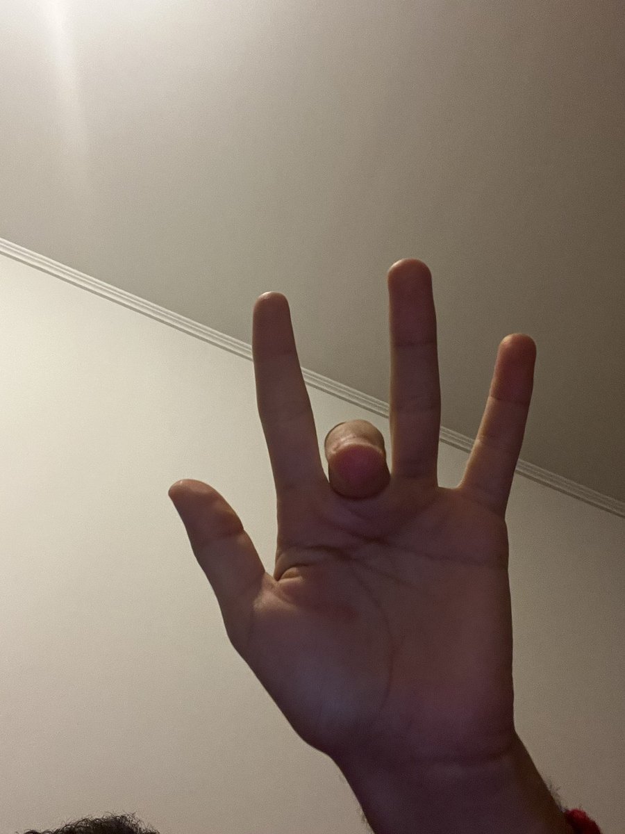 tsawerrandom4's tweet image. 🐾