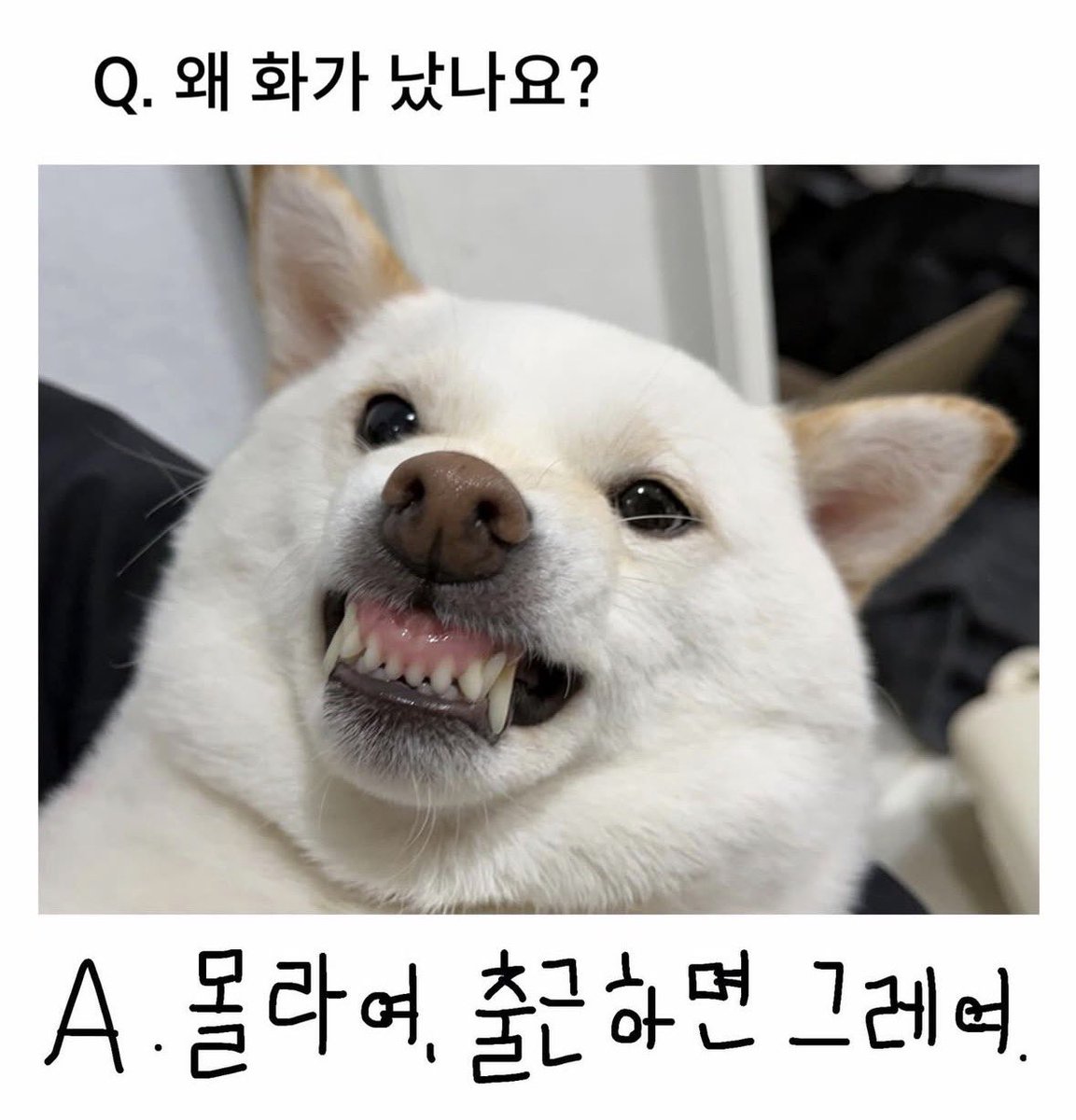 mint_voyager's tweet image. 직장인들에게 보냅니다