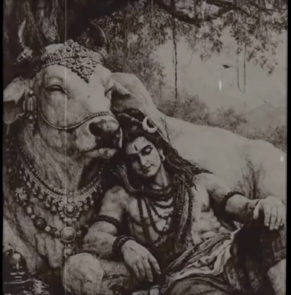 A rare and divine picture of Mahadev with Nandi Maharaj 🙏