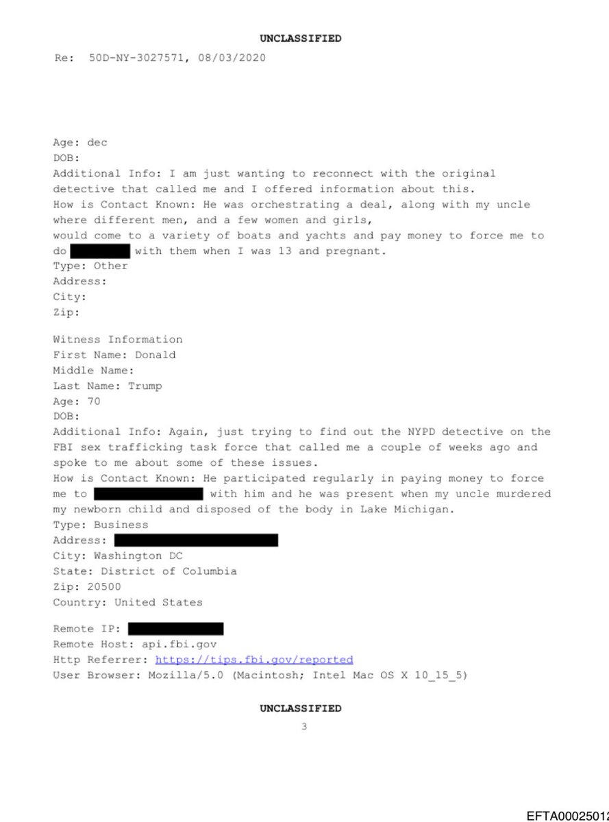 TimHannan's tweet image. How has there been no reporting on the allegation that Trump raped a pregnant 13 year old and was there when the girls uncle killed the baby and disposed of it in Lake Michigan?