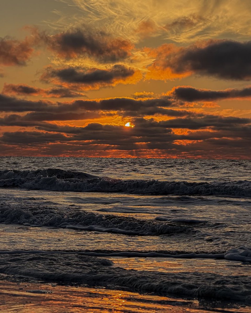 Butterflless's tweet image. 