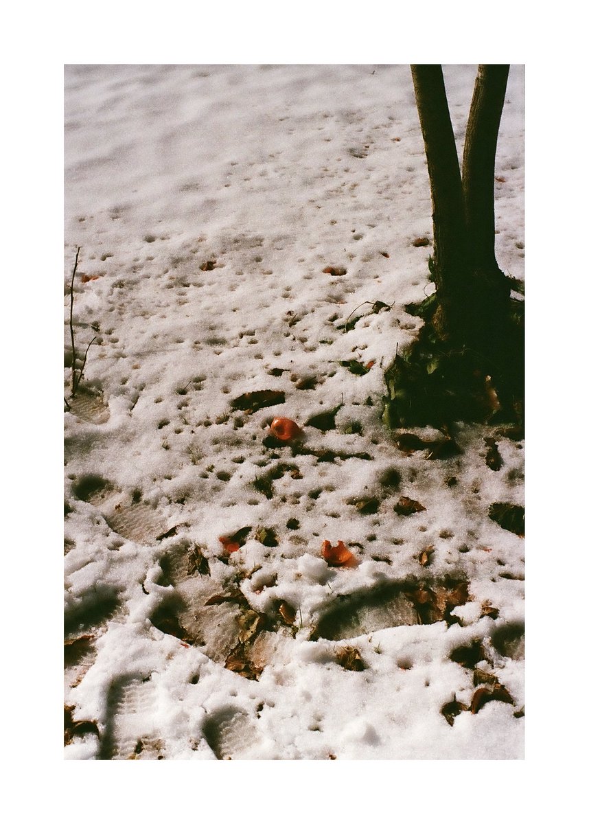 FORPRO_F's tweet image. Nikon F2
Ai NIKKOR 35mm f2
Kodak ULTRAMAX 400