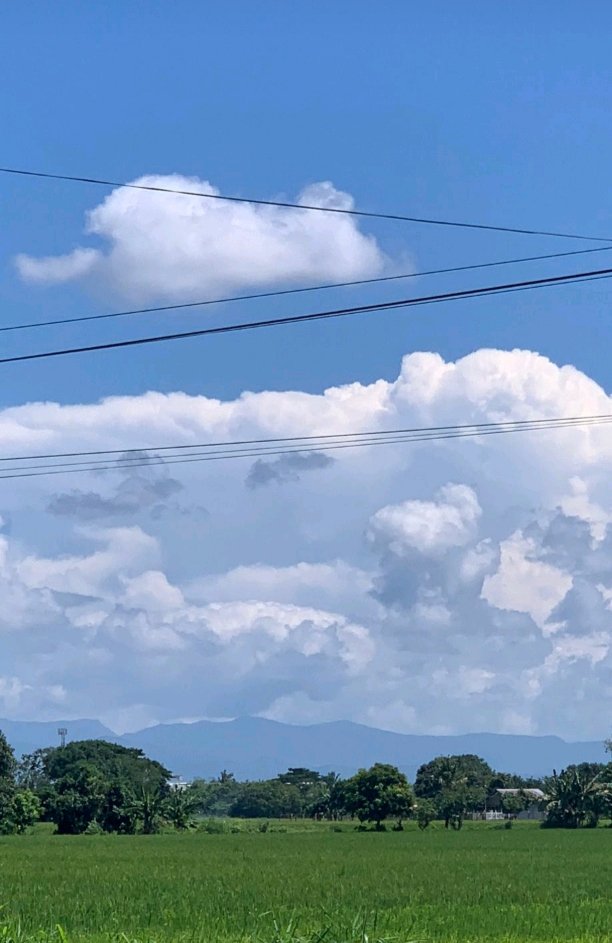 Blairseen.stx | ETHGas ⛽ tweet media